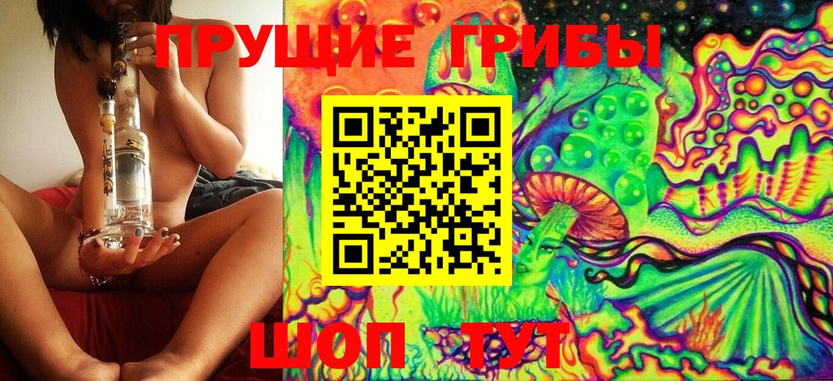 Псилоцибиновые грибы Cubensis  Вход с VPN  Галлюциногенные грибы Psilocybine cubensis  Городец 