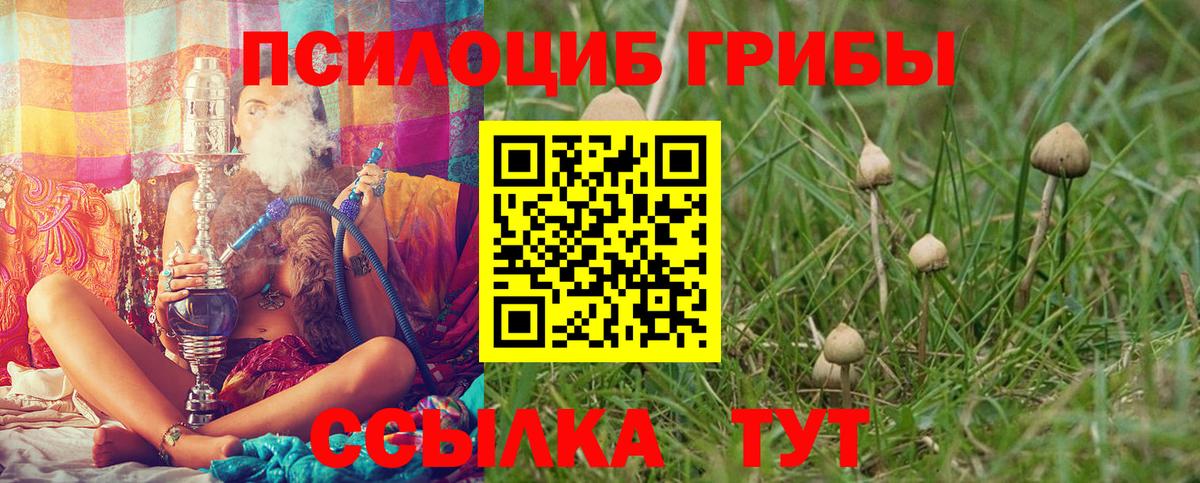 Псилоцибиновые грибы MAGIC MUSHROOMS Городец